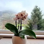 Villa Eleni's Kandíla