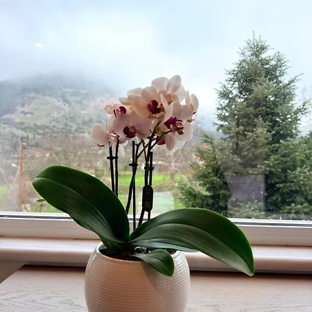 Villa Eleni's Kandíla