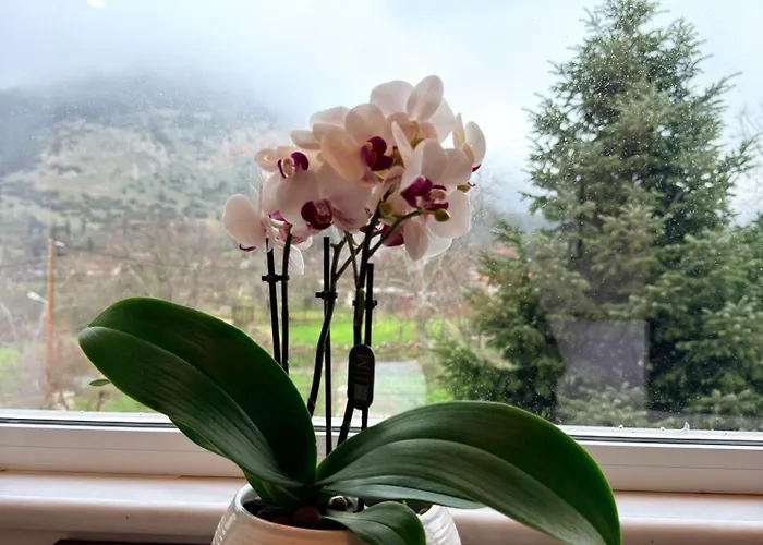 Villa Eleni's Kandíla